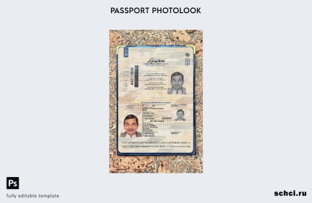 цифровая загрузка шаблона фотоизображения для паспорта Бразилии
